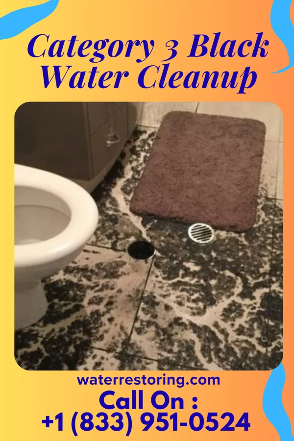 Category 3 Black Water Cleanup in Gueydan, LA