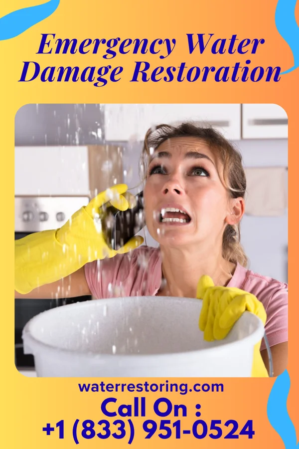 Emergency Water Damage Restoration in Gueydan, LA