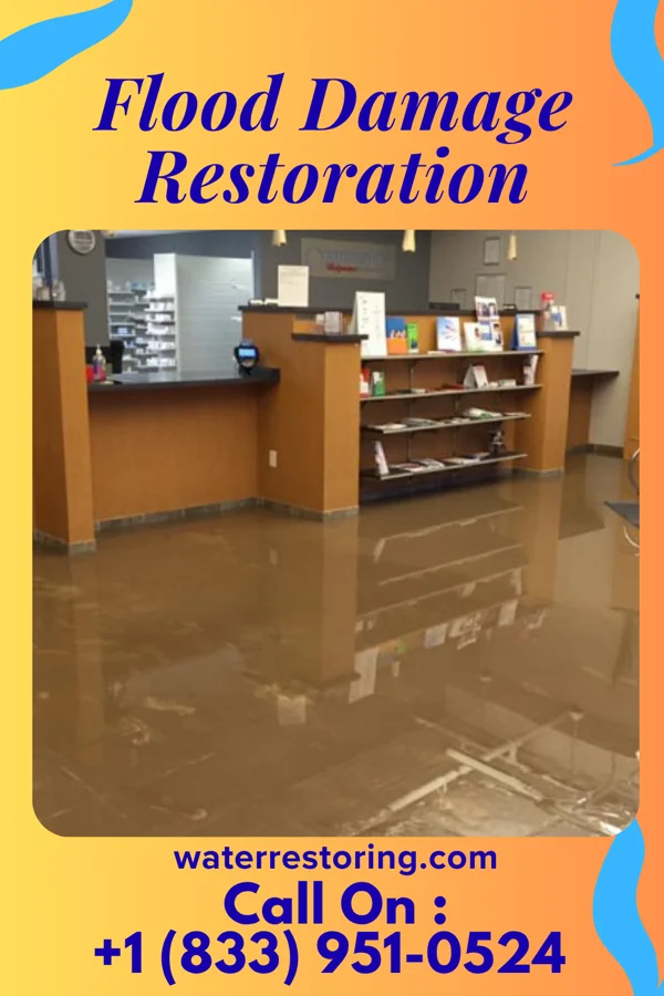 Flood Damage Restoration in Gueydan, LA