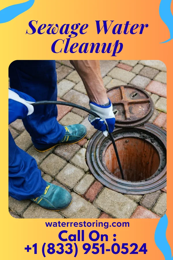 Sewage Water Cleanup in Gueydan, LA